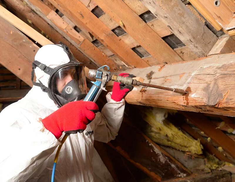 Rénovation de charpente - PROEDDY COUVREUR 72 : En tant que couvreur charpentier sur LE MANS dans LA SARTHE (72), nous réalisons la rénovation de charpente en bois avant la pose de couverture. Traitement des bois, boiseries et des menuiseries de charpente. Spécialistes des traitements du bois préventifs et curatifs des charpentes sur LE MANS dans LA SARTHE (72)