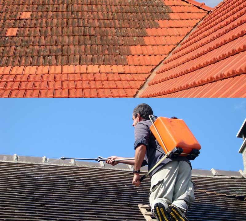 Nettoyage toiture - PROEDDY COUVREUR 72 : artisan couvreur sur LE MANS et les alentours dans LA SARTHE (72) : Entretien de toiture : Nettoyage toiture, démoussage, traitement anti mousse par pulvérisation toiture, peinture hydrofuge toit sur LE MANS et les alentours dans LA SARTHE (72)